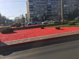 Amenajari strada,scuar,sens giratoriu cu pietre colorate EVIDECOR